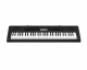 Синтезатор Casio CTK-3200